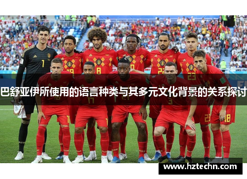 巴舒亚伊所使用的语言种类与其多元文化背景的关系探讨